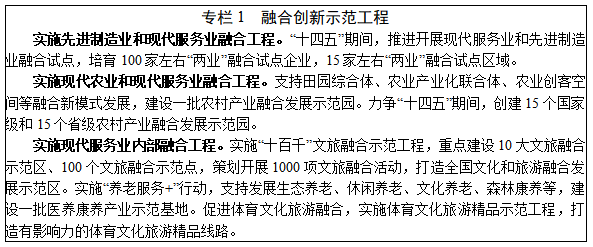 深化信息系統集成服務，賦能“十四五”服務業高質量發展